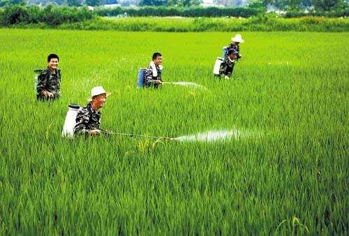 農(nóng)資市場魚龍混雜，抗性真的有宣傳的那么嚴(yán)重嗎？