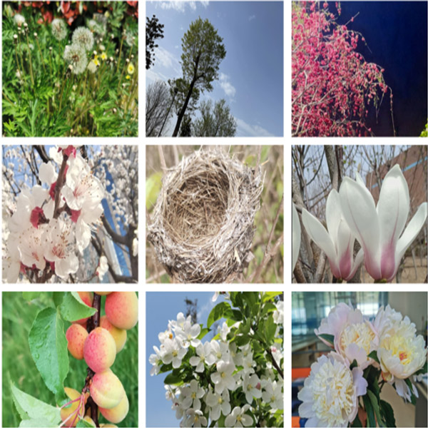 滕潤(rùn)翔“向上的力量，怒放的生命”主題活動(dòng)落地  